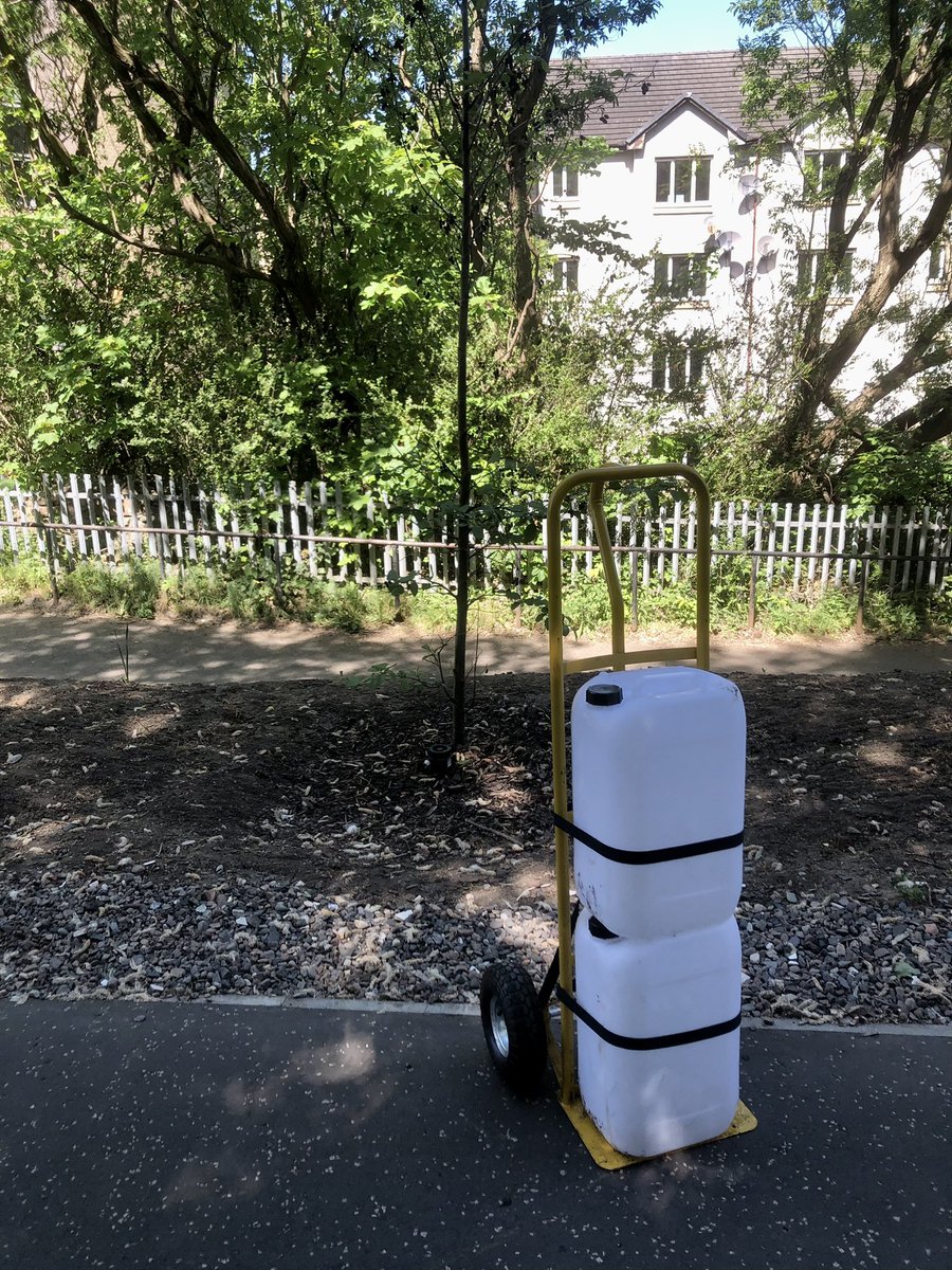 Friends of Dalry Cemetery (@dalrycemetery) on Twitter photo Dear <a href="/edinhelp/">Edinburgh Council Help</a>, using nothing but this rude contraption and my keen ability to smell water, I have watered 50 of the large trees closest to the Fountainbridge end of the Dalry Community Park, saving you thousands of pounds in tree replacement costs. The watering tubes have never Dear <a href="/edinhelp/">Edinburgh Council Help</a>, using nothing but this rude contraption and my keen ability to smell water, I have watered 50 of the large trees closest to the Fountainbridge end of the Dalry Community Park, saving you thousands of pounds in tree replacement costs. The watering tubes have never