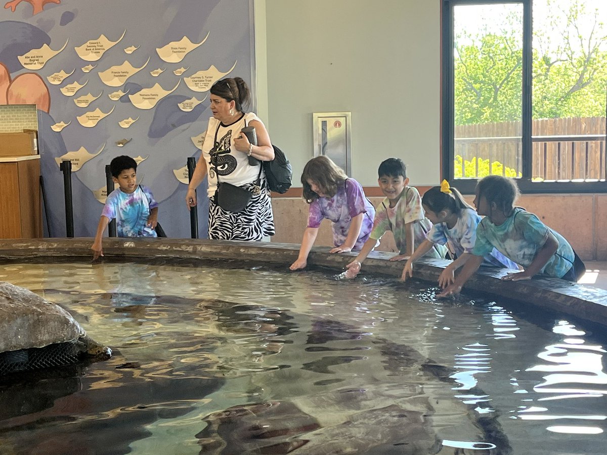 PeggyEverist tweet media