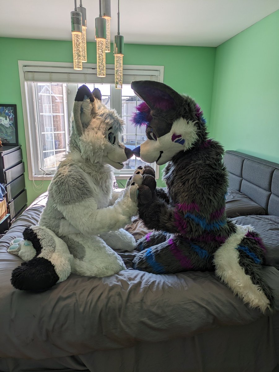 Artythefoxx ๐ FWA (@artythefoxx) on Twitter photo Happy birthday to my precious little wolf <a href="/NabiWolfy/">Nabi Wolfy ๐๐</a> ๐๐
I love you so much and I canโt wait to jump into your arms again tonight so we can celebrate together ๐
๐ธ <a href="/MikeTheFox07/">Mike The Fox</a> Happy birthday to my precious little wolf <a href="/NabiWolfy/">Nabi Wolfy ๐๐</a> ๐๐
I love you so much and I canโt wait to jump into your arms again tonight so we can celebrate together ๐
๐ธ <a href="/MikeTheFox07/">Mike The Fox</a>