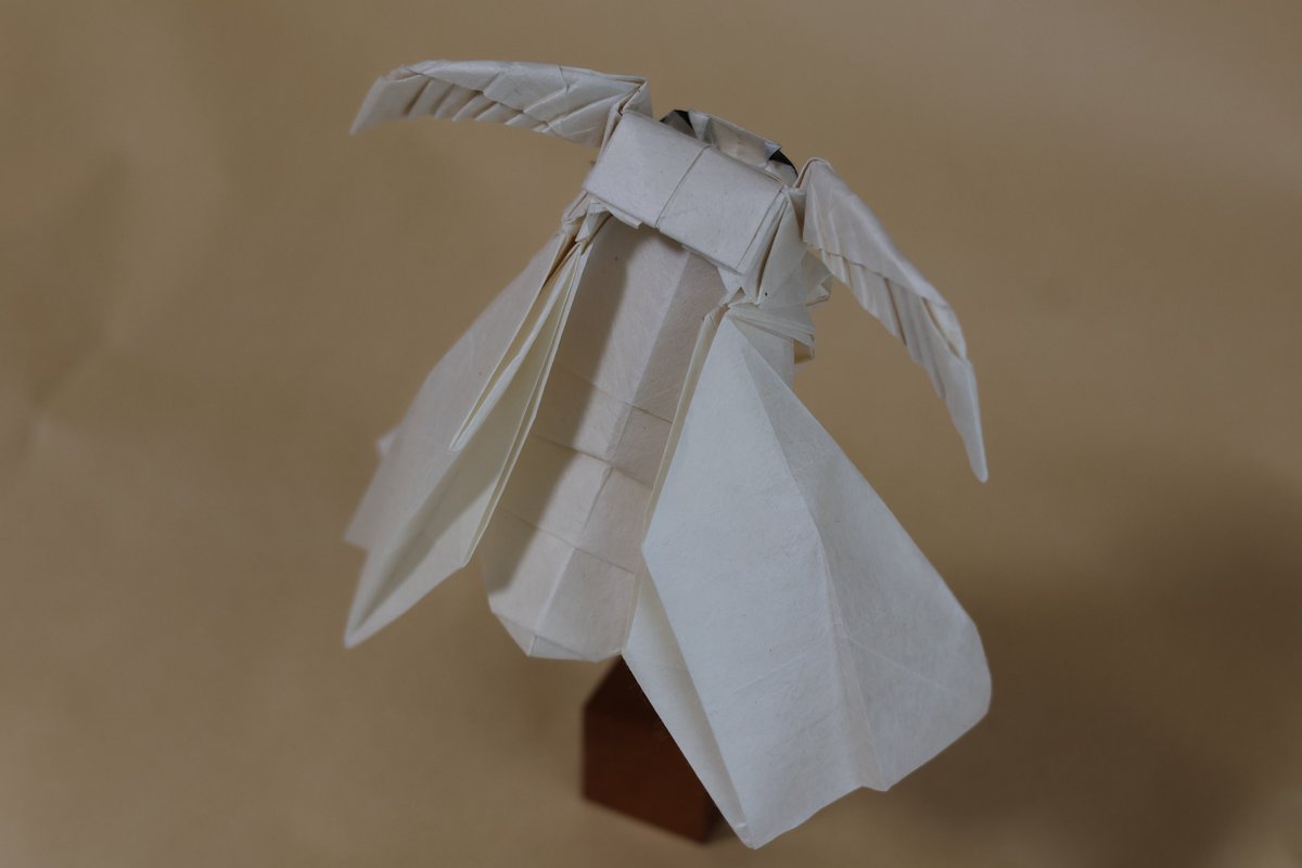aagfisdiseh's tweet photo. カイコガ
(五箇山和紙 みつまた 未晒+着色)
origami designed by Taon
#折り紙作品

五箇山和紙で何か折りたいなと思っていたのと、一度何か昆虫をやりたいなと思っていたので、五箇山の特産のひとつである養蚕に結び付けてカイコガを折ってみました
ふだんやらない題材 勉強になるわ https://t.co/GlwYsfFTRJ