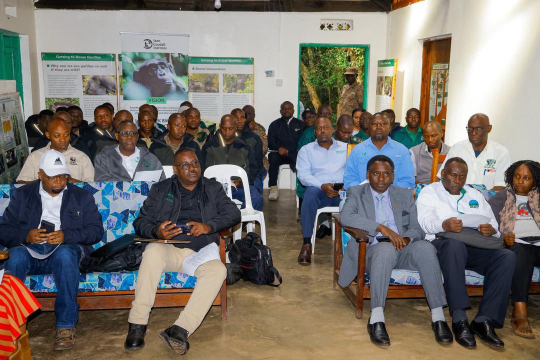Volcanoes Safaris (@volcanoessafari) on Twitter photo The <a href="/ugwildlife/">Uganda Wildlife Authority</a> has launched the mountain gorilla and inaugural chimpanzee census in the Bwindi-Sarawabi ecosystems.
Follow the link below to read more!
volcanoessafaris.com/launch-of-moun⦠The <a href="/ugwildlife/">Uganda Wildlife Authority</a> has launched the mountain gorilla and inaugural chimpanzee census in the Bwindi-Sarawabi ecosystems.
Follow the link below to read more!
volcanoessafaris.com/launch-of-mounā¦