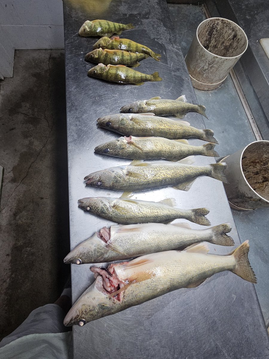 Ryan Linder tweet media