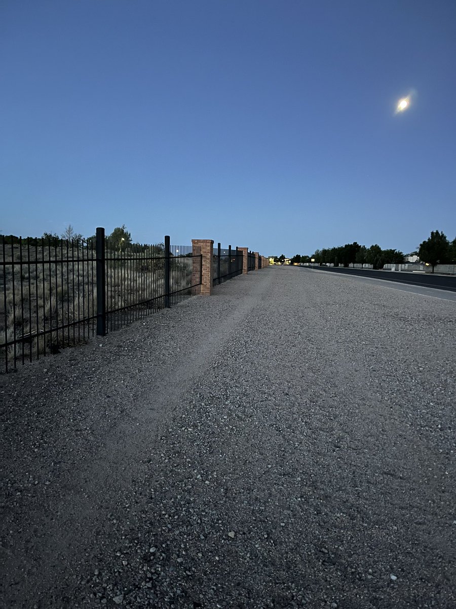 elayne brucker tweet media