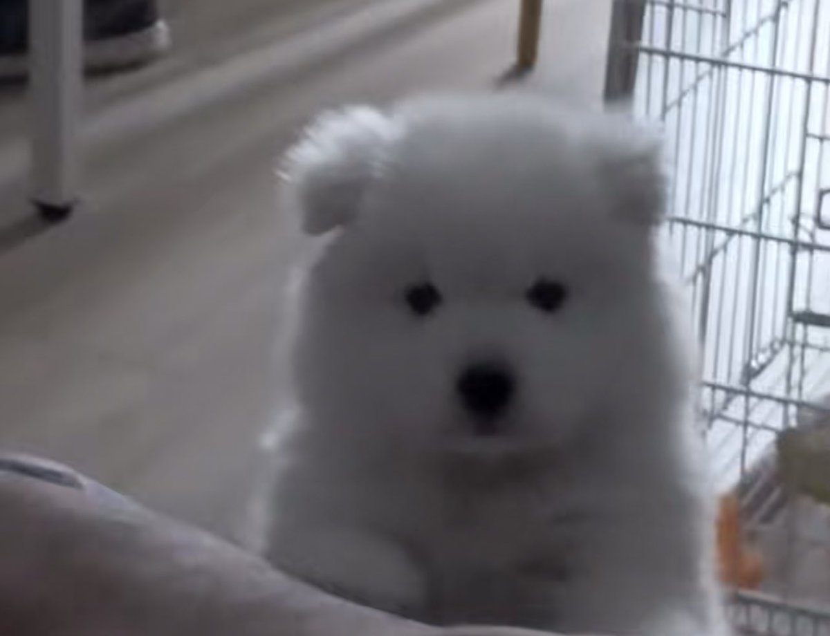 มีหอมก่อนนอนไม