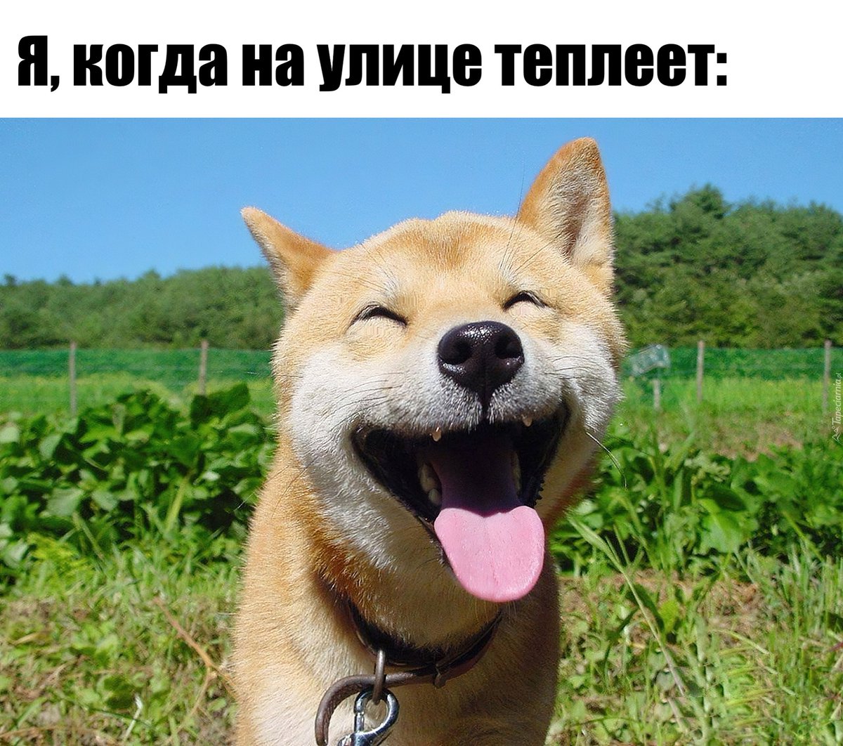 В выходные в Татарстане потеплеет до +25°С. Дождей синоптики тоже не обещают (только если совсем чуть-чуть)

entermedia.io/news/sinoptiki…