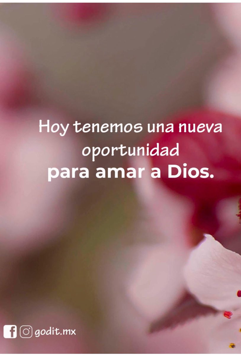 Rosalba Escaño (@rosalbaladiva) on Twitter photo 