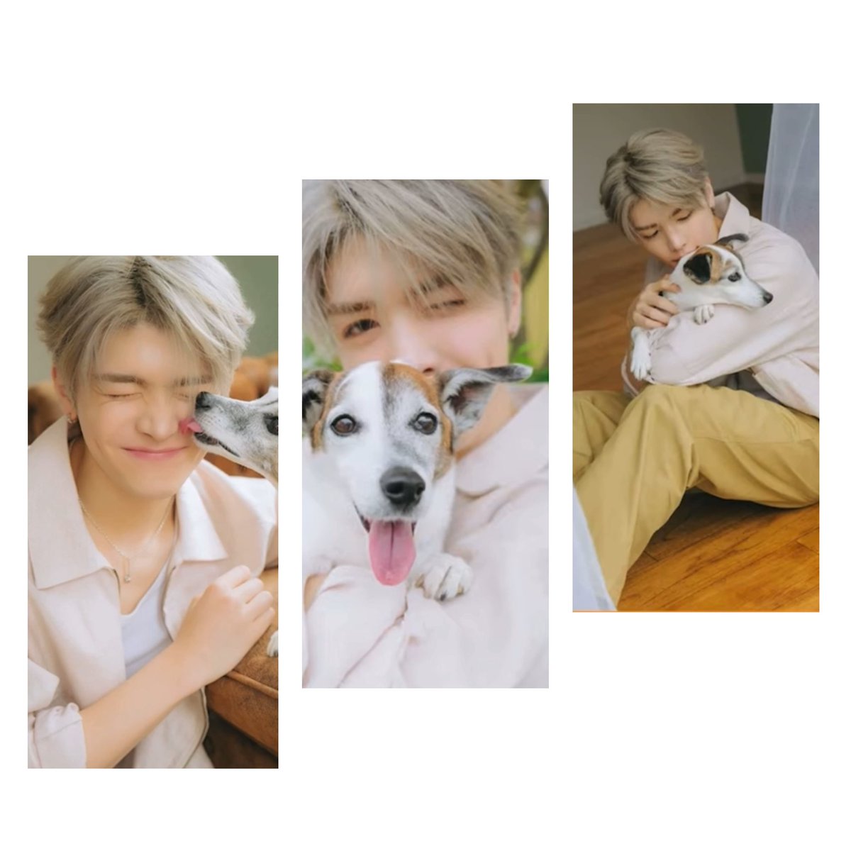 mymaki_06's tweet image. The Most Beautiful World ✨✨🐶

#andTEAM #MAKI #PANDY