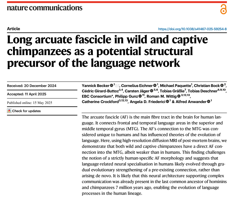 Alfred Anwander @AlfredAnwander.bsky.social tweet media