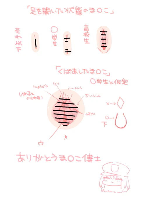 ま〇こについて勉強会した
ありがとうま〇こ博士(@kdm_kkkk) 
