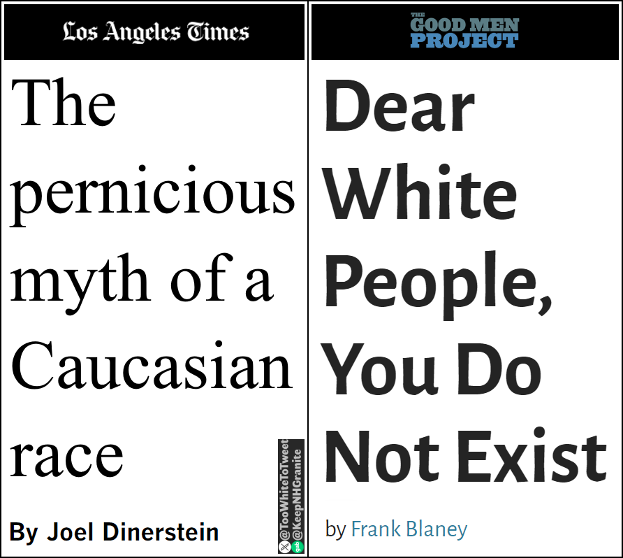 The people who insist that there's no White genocide are the same people who insist that there's no White race.