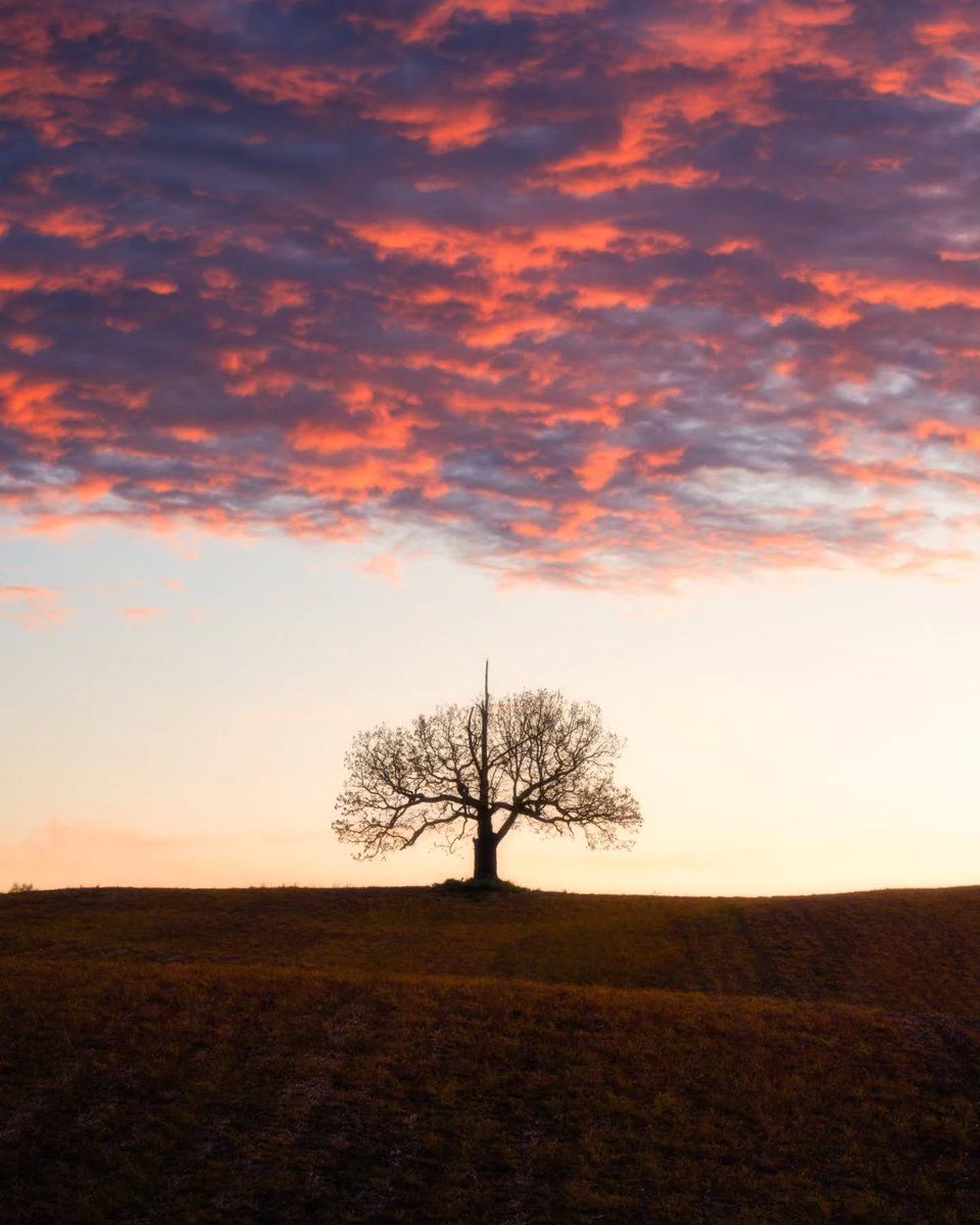 ✅OTE here: thisisroc.com/roctopshots/vo… for #roctopshots