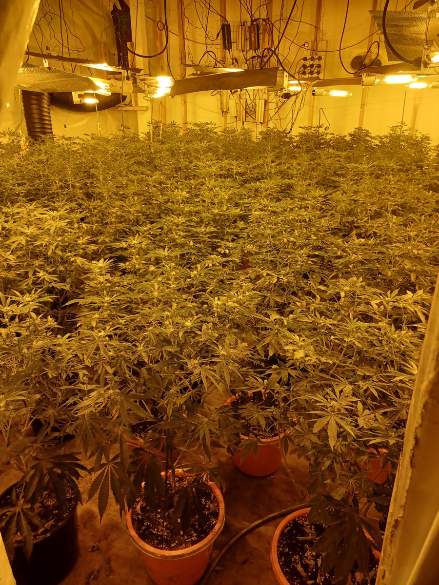 Thames Police Barking (@mpsthames) on Twitter photo The Thames and #BarkingRiverside teams with the drugs focus desk team executed a Section 23 Misuse of Drugs Act warrant on the ward early this morning and recovered a significant amount of drugs.
<a href="/lbbdcouncil/">Barking and Dagenham Council</a>
<a href="/MPSBarkDag/">Barking & Dagenham MPS</a>
<a href="/LocalCrimeBeats/">LocalCrimeBeats</a>
<a href="/essex_crime/">Essex Crime & Surrounding Areas.</a>
<a href="/HaveringDaily/">The Havering Daily</a>
#7184EA The Thames and #BarkingRiverside teams with the drugs focus desk team executed a Section 23 Misuse of Drugs Act warrant on the ward early this morning and recovered a significant amount of drugs.
<a href="/lbbdcouncil/">Barking and Dagenham Council</a>
<a href="/MPSBarkDag/">Barking & Dagenham MPS</a>
<a href="/LocalCrimeBeats/">LocalCrimeBeats</a>
<a href="/essex_crime/">Essex Crime & Surrounding Areas.</a>
<a href="/HaveringDaily/">The Havering Daily</a>
#7184EA