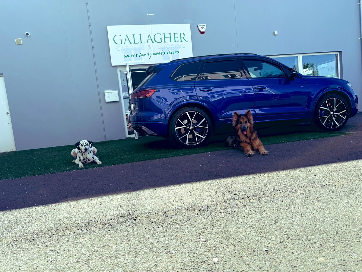 Tough shift for the sales team today 💚