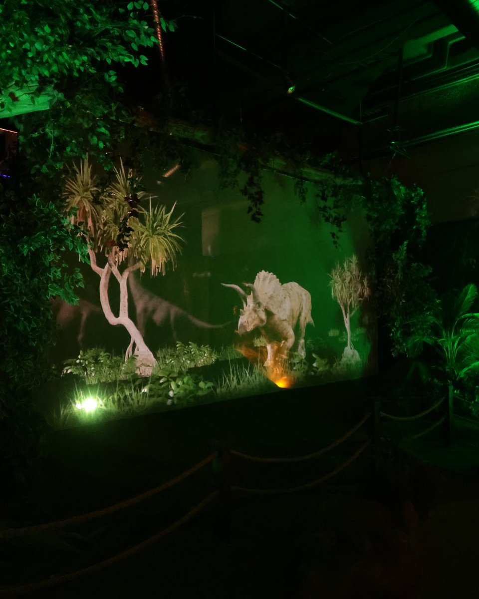 Zamanda yolculuğa çıkın ve dev dinozorlarla yüz yüze gelin!

Katılım Emeklilik Digizoo’nun holografik dinozor dünyası, sizi milyonlarca yıl öncesine götürecek! 🦖