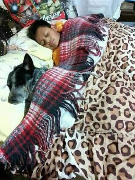 “Mañana nos levantamos temprano a correr”

Yo y mi perrito a las 9:00 am: