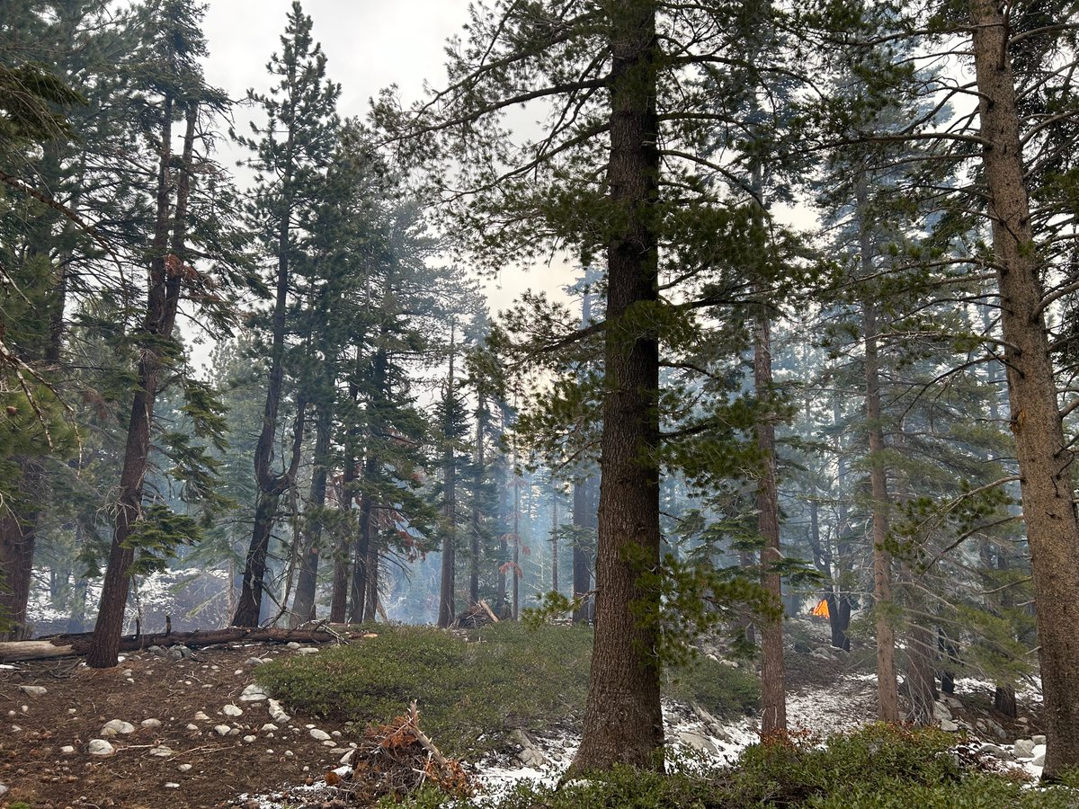 HumboldtToiyabe's tweet image. Prescribed burning continues along the Mt. Rose corridor today.  Smoke will be visible along Mt. Rose Highway.  Crews will be on scene through the rest of the week, please do not call 911 to report smoke.