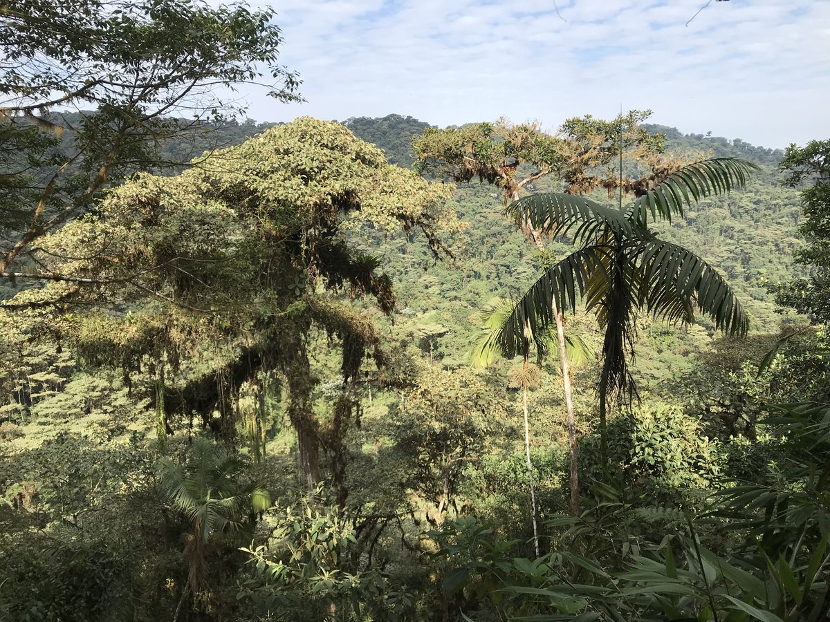 Nuevo *Doctorado en Ecología y Soluciones Globales*  USFQ!

Aplicaciones abiertas: hasta el 15 de junio 2025.
usfq.edu.ec/es/posgrados/d…