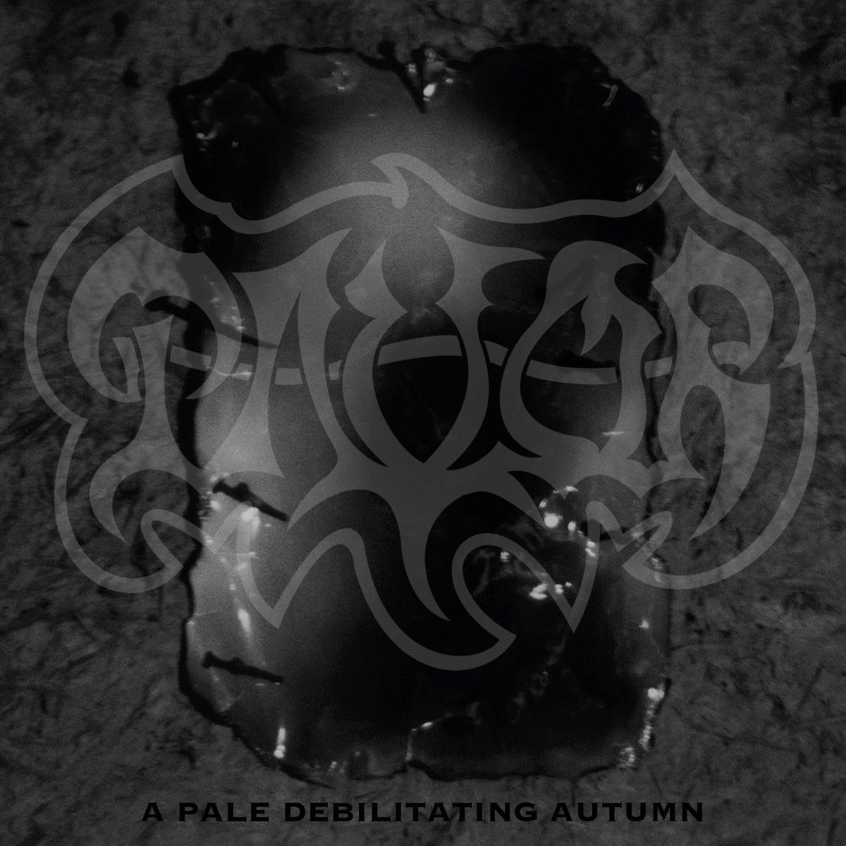 Garry B. (SALLOW MOTH) tweet media