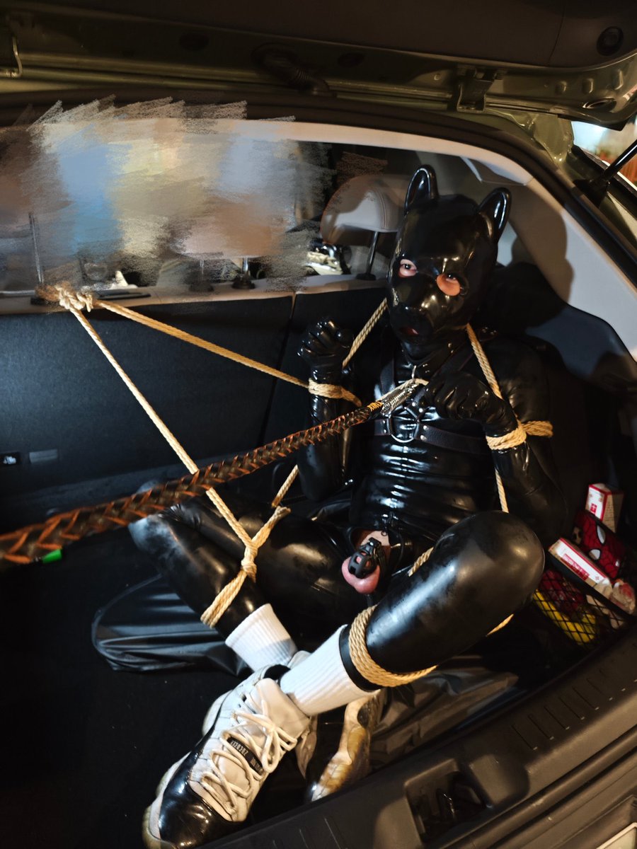 开车🚗 还是后备箱😤