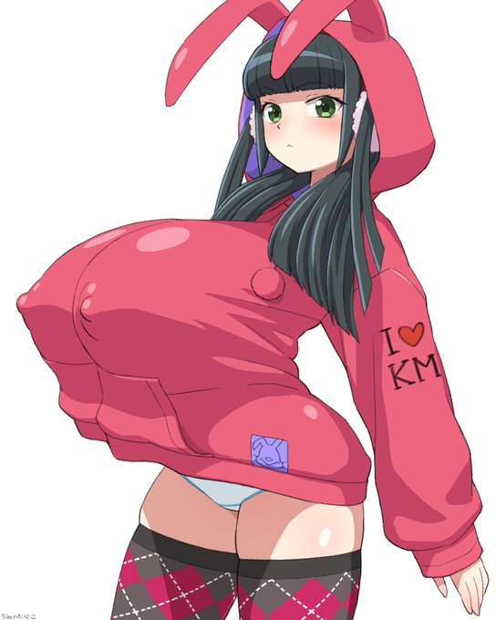 描いてみたいもの色々詰め込んだらよくわからない絵になった ウサ耳パーカー、でっけえおっぱい、パンチラさせたい、ロングヘアでフード被るとどうなるか?等