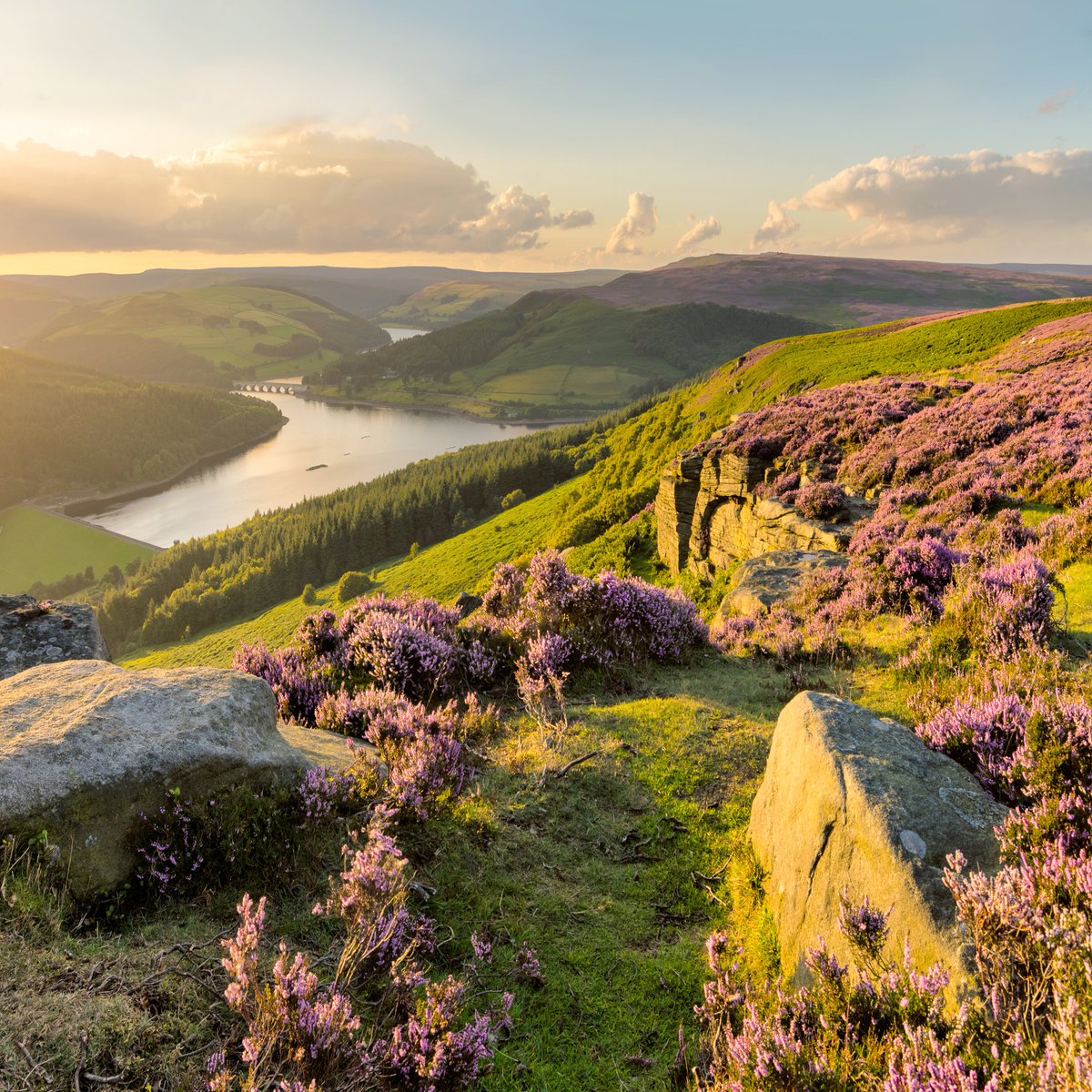 ArtofMJS's tweet image. &apos;How to paint a distant landscape&apos; tutorial on MJS Tv painting &amp;amp; reference photo - Bamford Edge, Derbyshire 😍

michaeljamessmith.tv

#beautiful #fyp #art #artwork #painting