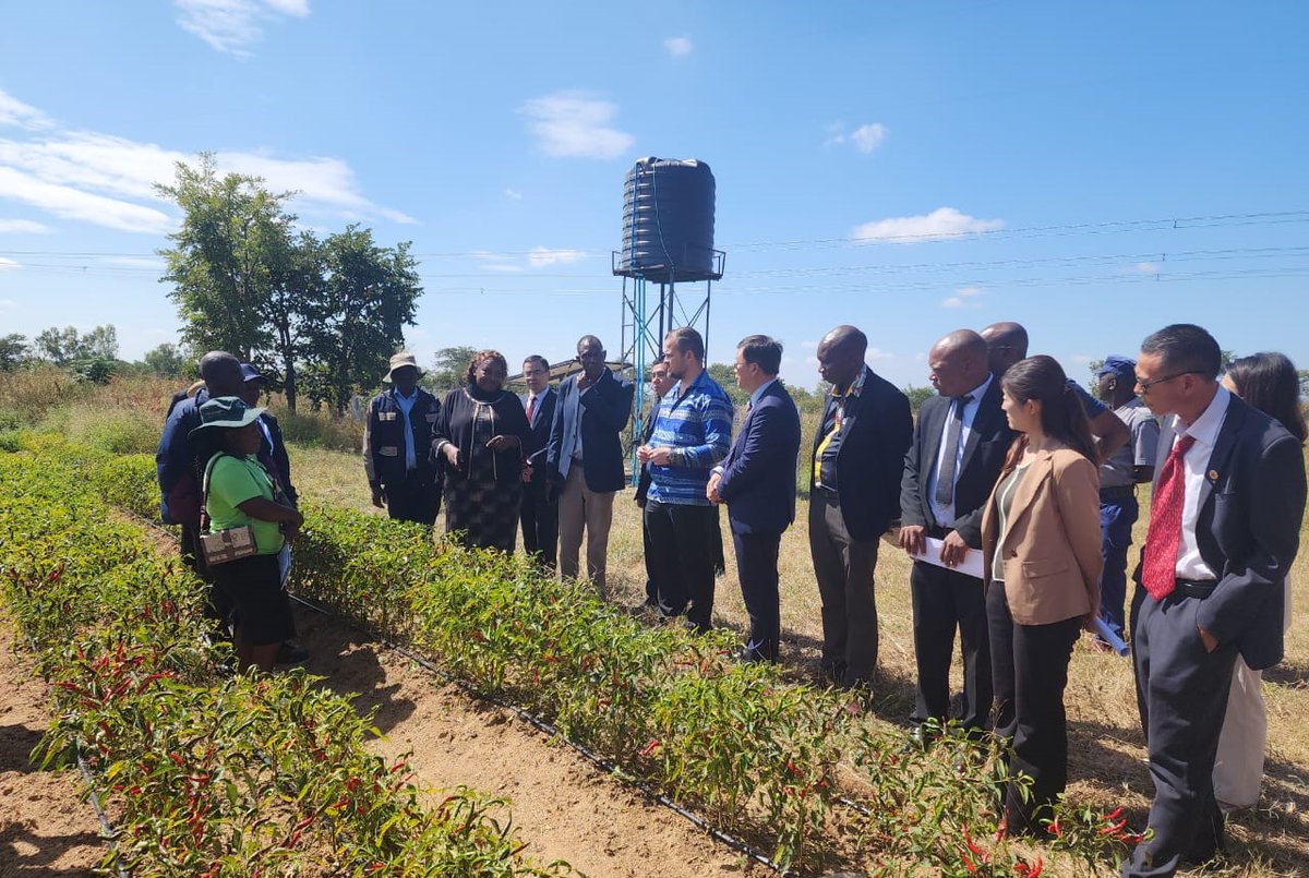 In Chakonda, Shamva the Deputy Minister of Lands, Agriculture, Fisheries, Water and Rural Development Hon V. Haritatos and the Chinese Ambassador to Zimbabwe H.E Zhou Ding, toured Zindi Village's chilli production farm. #RuralDevelopment #Zimbabwe