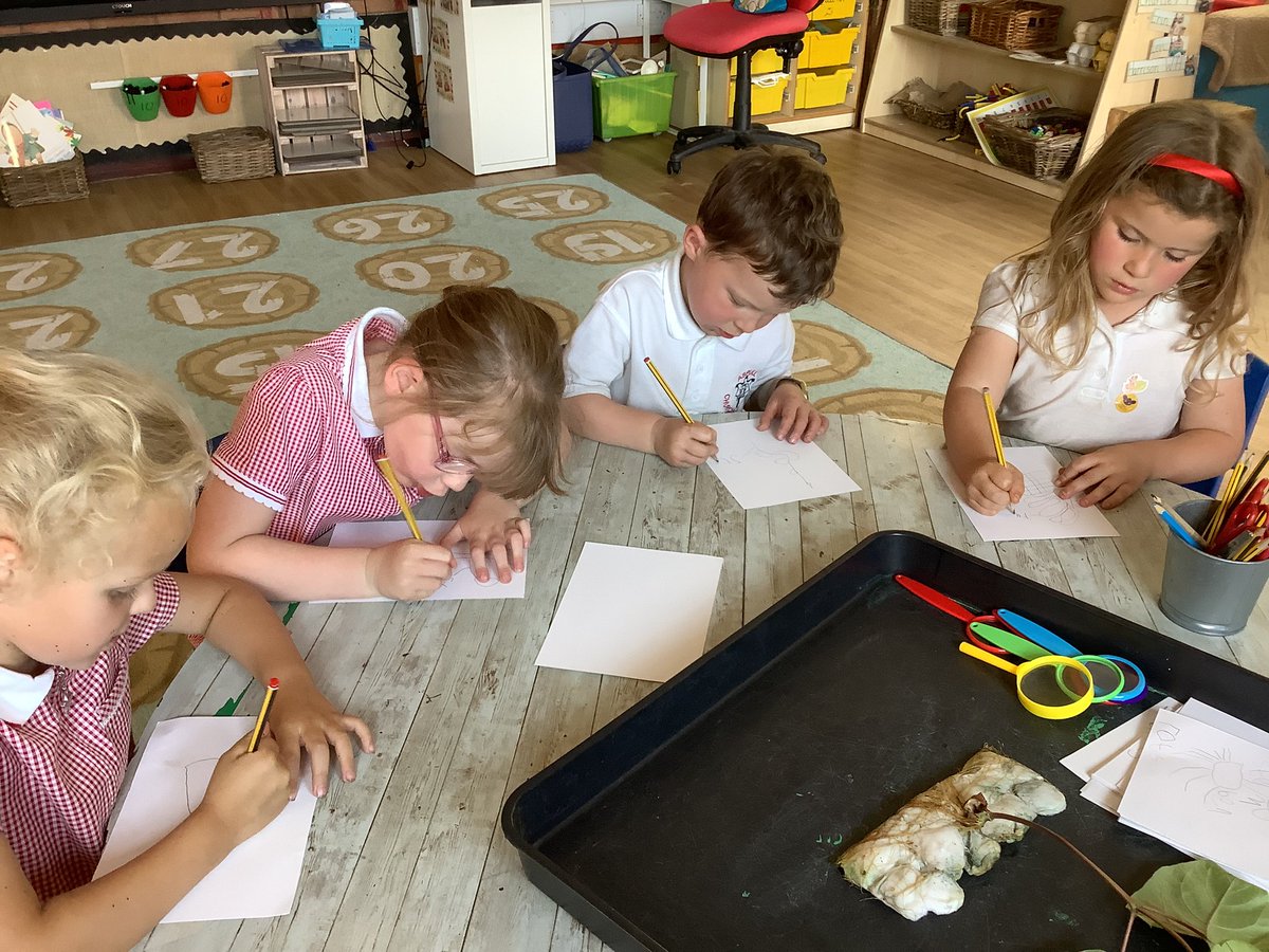 ClassRAspull's tweet image. We are drawing and labelling our bean plan independently! #acpseyfs