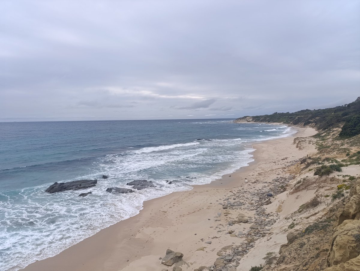 hostalellevantedetarifa.blogspot.com/2025/05/fotos-…
Nuestro blogs