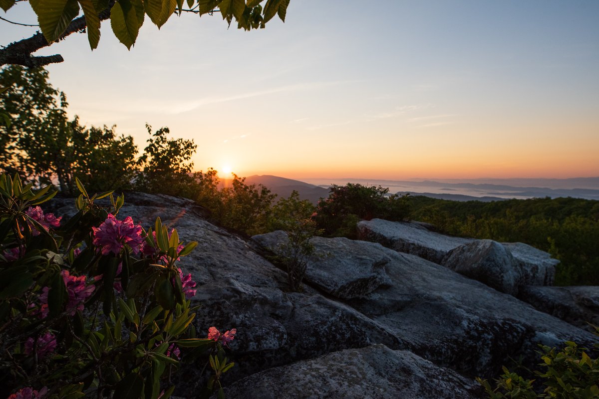 That view! 🤩 

You never know what a trail in Southwest Virginia has in store. From scenic views to native flora and fauna, #SWVA is the perfect outdoor destination!

What trail do you plan to visit this spring?

📍 The Channels