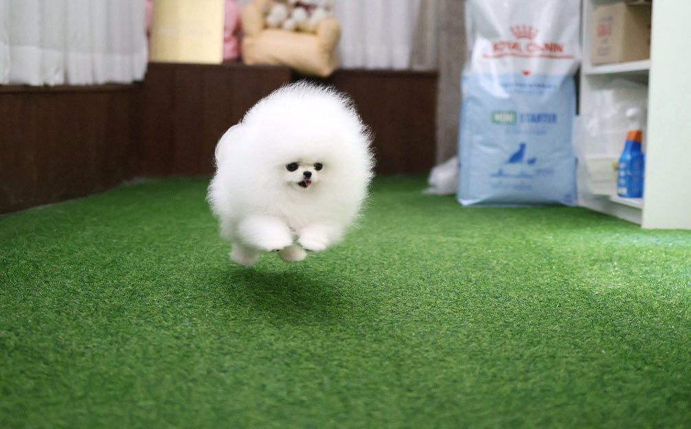 飛び出してい毛☺️！！！！！！！！！！！！！宇宙の彼方！！！！！！！！目の前をぶち抜く☺️！！！！！！！！！！！！！！！！フワフワ☺️！！！！！！！！！！！！！！！！！！！！！！！！！！！！！！！！！！！！！！！！☺️