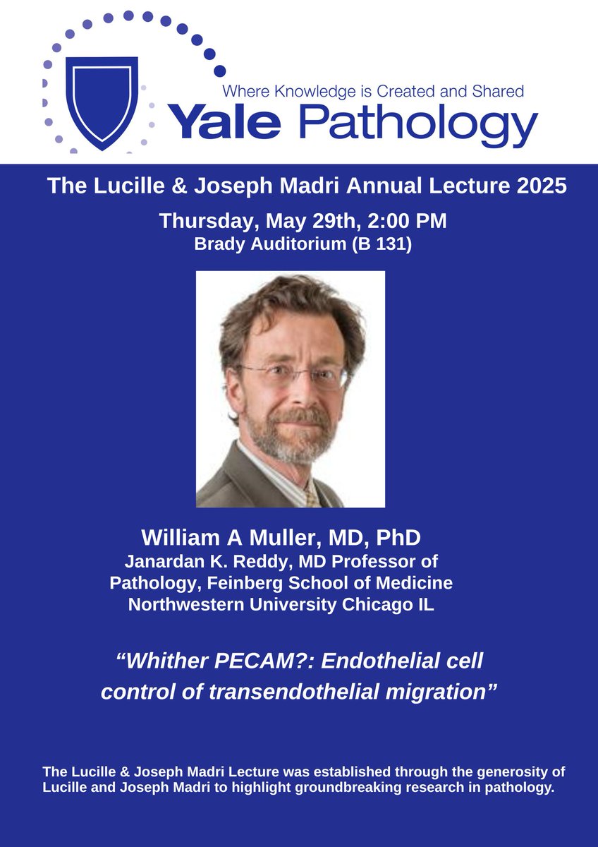 Yale Pathology (@yalepathology) on Twitter photo The annual Lucille & Joseph Madri Annual Lecture in #Pathology is May 29 at 2 PM at Brady Auditorium <a href="/YaleMed/">Yale School of Medicine</a>. Join us as William A. Muller, MD, PhD, of <a href="/NUFeinbergMed/">Northwestern Feinberg School of Medicine</a> presents on, “Whither PECAM?: Endothelial cell control of transendothelial migration.” bit.ly/3ZeNbX2 The annual Lucille & Joseph Madri Annual Lecture in #Pathology is May 29 at 2 PM at Brady Auditorium <a href="/YaleMed/">Yale School of Medicine</a>. Join us as William A. Muller, MD, PhD, of <a href="/NUFeinbergMed/">Northwestern Feinberg School of Medicine</a> presents on, “Whither PECAM?: Endothelial cell control of transendothelial migration.” bit.ly/3ZeNbX2