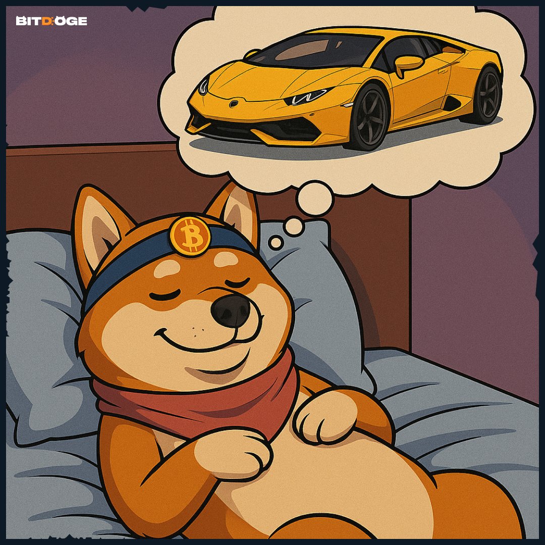 BitDoge (@bitdo_ge) on Twitter photo No dreams are too big for a pup with a vision. No dreams are too big for a pup with a vision.