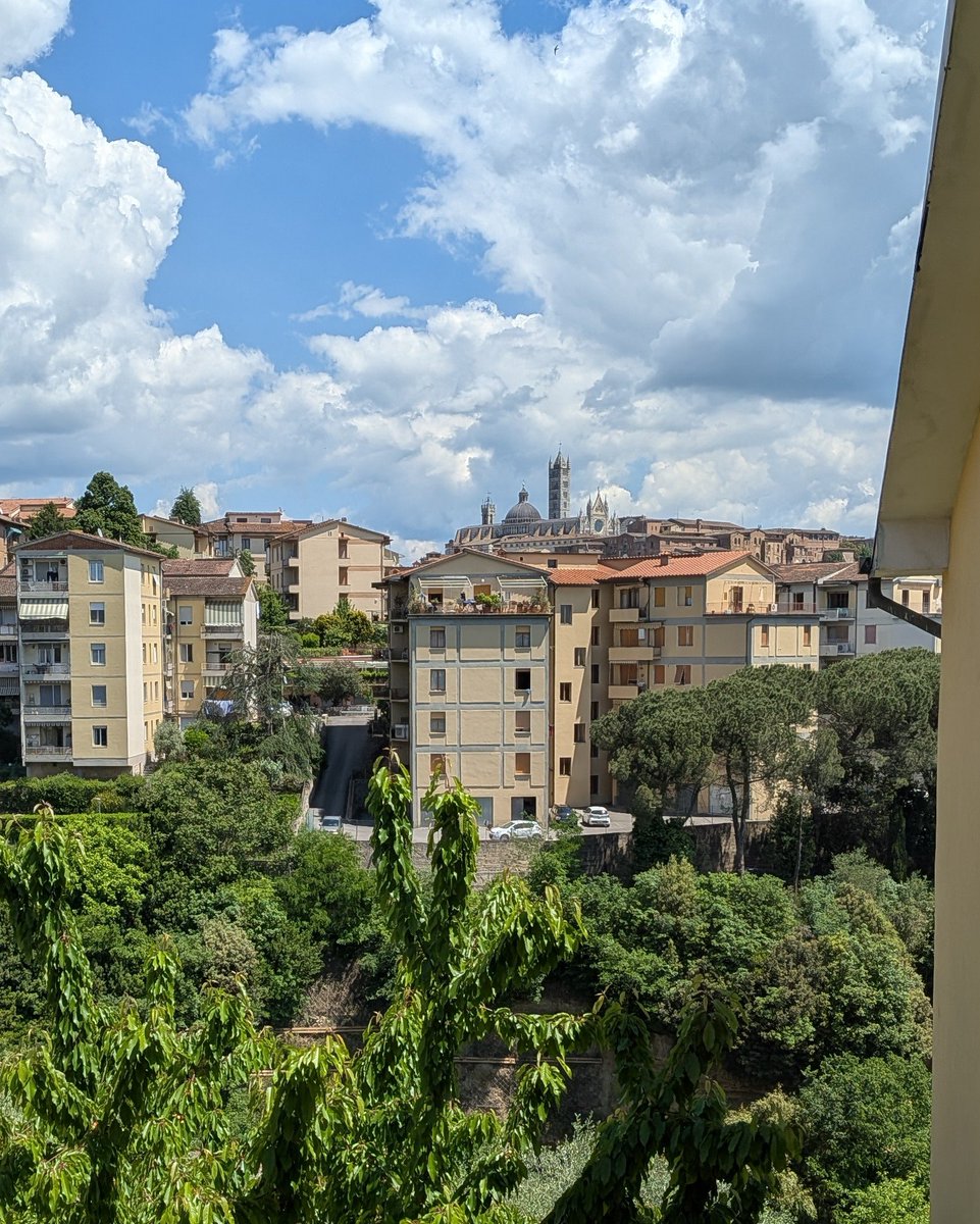 We bought a new house today. A bit of work to do before moving in, roughly couple of months, tough mortgage, but this is the view from my studio's window.

We're very happy❤️
