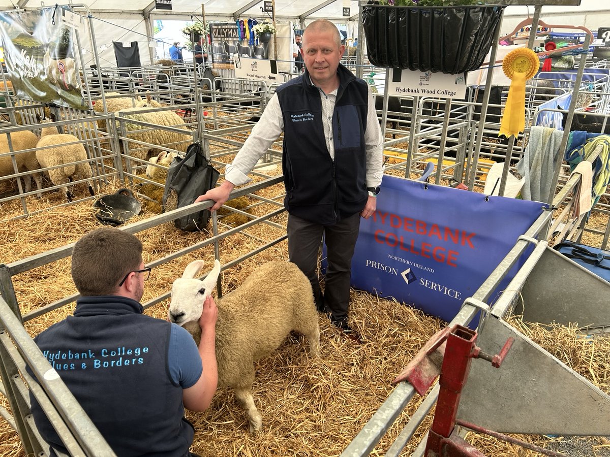 NI Prison Service (@niprisons) on Twitter photo Great success at the <a href="/balmoralshow/">Balmoral Show</a> for Magilligan and Hydebank. Magilligan's Drumhaca Pedigree Teeswater Sheep, a rare breed, won 2nd place with one of their rams, 2nd place with an aged ewe, and 3rd place with a shearing ewe. 1/2 Great success at the <a href="/balmoralshow/">Balmoral Show</a> for Magilligan and Hydebank. Magilligan's Drumhaca Pedigree Teeswater Sheep, a rare breed, won 2nd place with one of their rams, 2nd place with an aged ewe, and 3rd place with a shearing ewe. 1/2