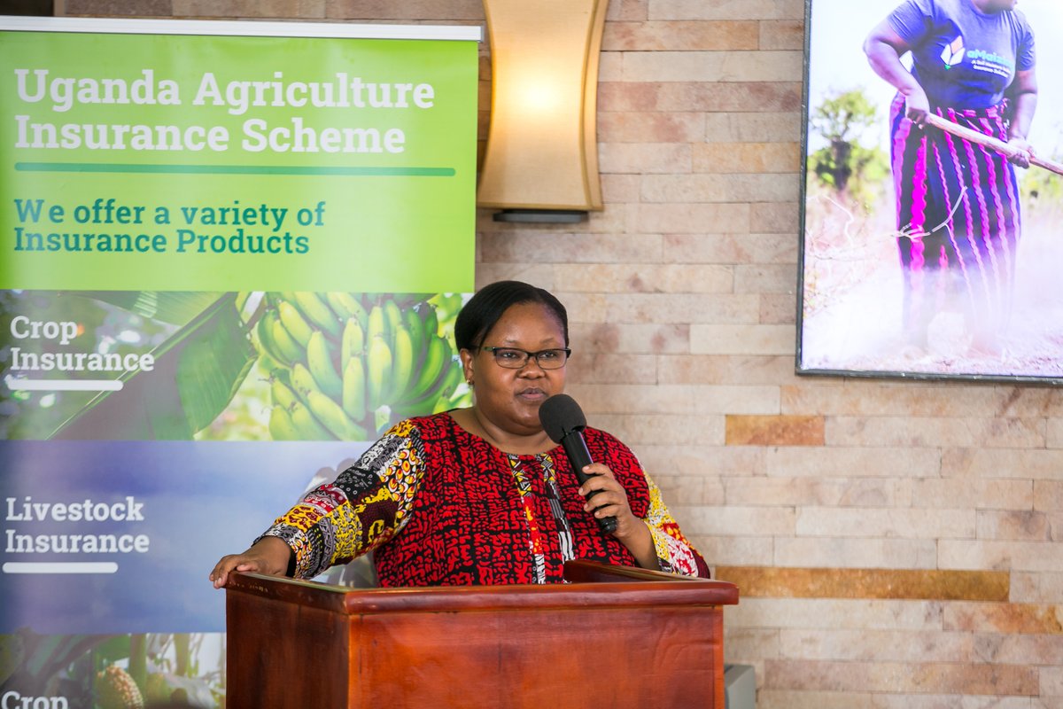 This week, <a href="/AgroConsortium/">Agro Consortium</a> , in collaboration with <a href="/acreafrica/">ACRE Africa</a> and @MercyCorpsAgriFin , hosted the close-out workshop for the DigiBima project at Golden Tulip Hotel in Kampala.

<a href="/Digi_Bima/">DigiBima</a> is a digital initiative funded by Mercy Corps AgriFin and implemented by ACRE Africa across