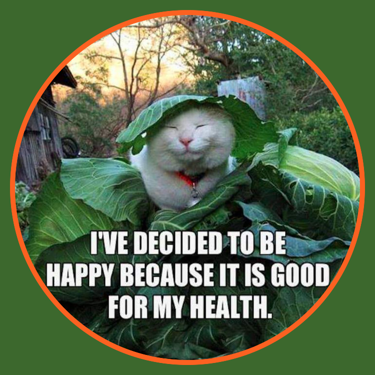 Creator, I Am Roux Laflame
#DreamBig,#NeverGiveUp,#MotivationMonday,#InspireDaily, #ChaseYourDreams,#BeYourBestSelf
Certified Trinity Health Coach | BBB Board Member| Mindfulness Advocate | Social Media Partner
🌐 Link in BIO for my latest updates!