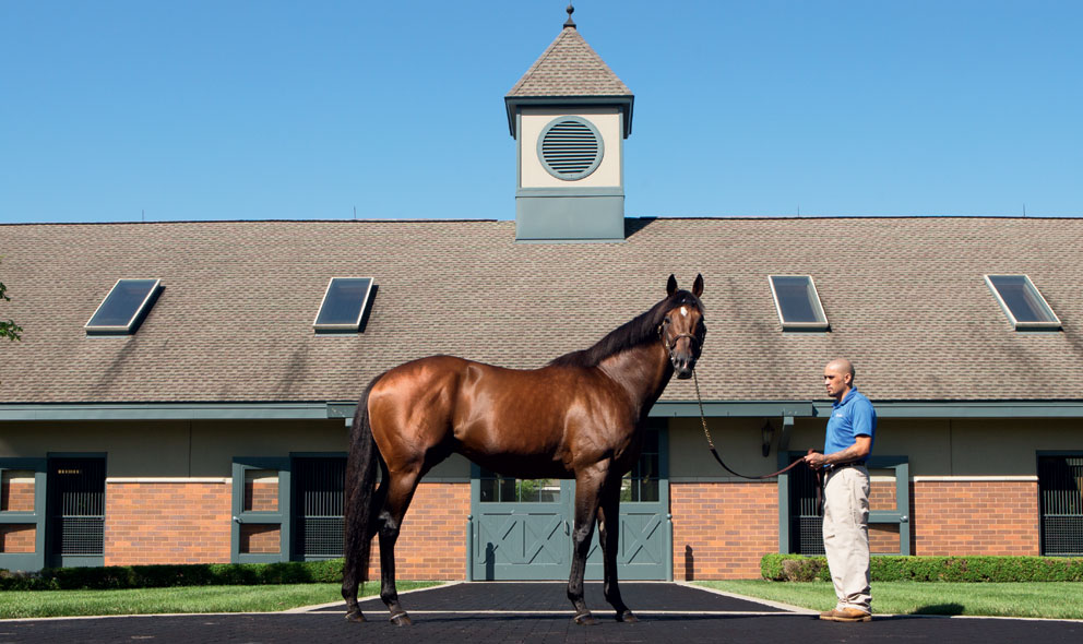 Equibase (@equibase) on Twitter photo Good Morning and Happy Thursday! ☕️🏇
The sire with the most runners across North America today is Hard Spun, with 10 entries!
Hard Spun finished 3rd in the 2007 G1 <a href="/PreaknessStakes/">Preakness Stakes</a>.
He stands at <a href="/DarleyAmerica/">Darley in America</a> for $25K LFS&N. Notably he has sired 15 G1 winners!
For more Good Morning and Happy Thursday! ☕️🏇
The sire with the most runners across North America today is Hard Spun, with 10 entries!
Hard Spun finished 3rd in the 2007 G1 <a href="/PreaknessStakes/">Preakness Stakes</a>.
He stands at <a href="/DarleyAmerica/">Darley in America</a> for $25K LFS&N. Notably he has sired 15 G1 winners!
For more