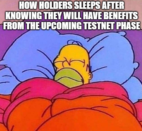 FROMO cooking the testnet 🔥
NFTs and testnet airdrops coming in hot for the holders 👀.