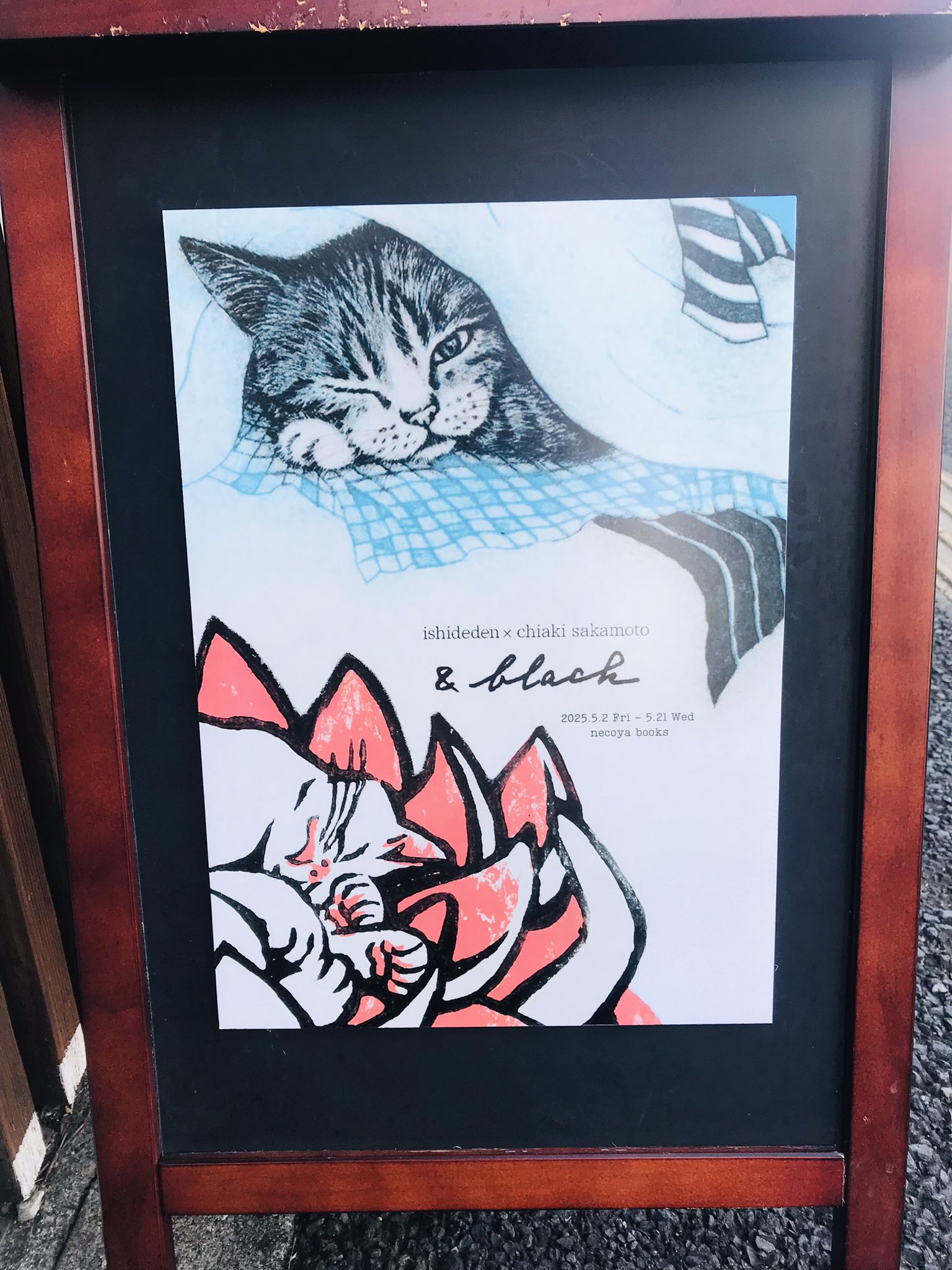 坂本千明 (@chiakisakamoto) / X
