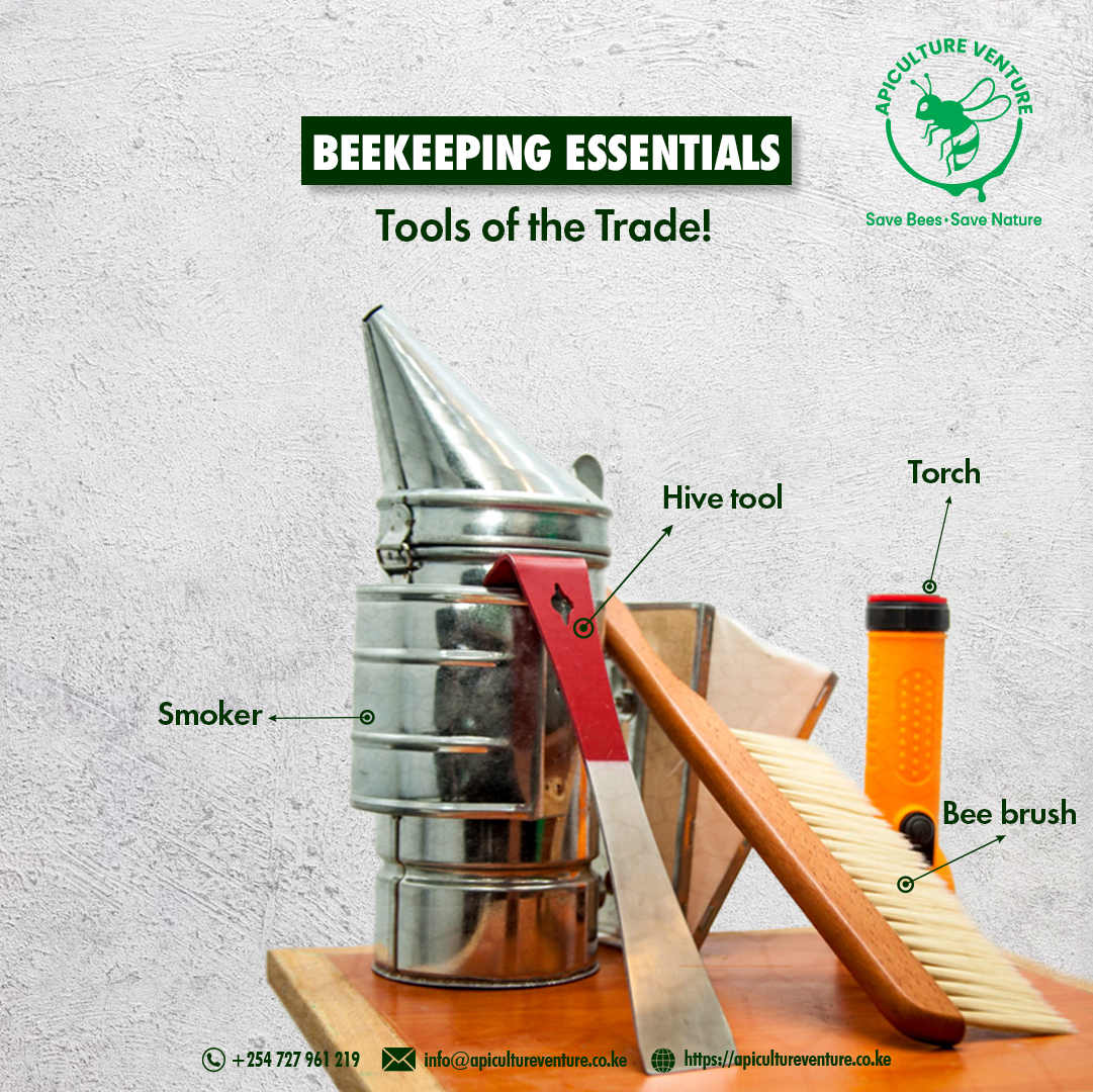 🐝 Beekeeping made easy with the right tools!
Smoker ✅ Hive Tool ✅ Bee Brush ✅ Flashlight ✅
Everything you need for a calm, safe hive check.
🛒 Order now and gear up for the season!

#GoldenBeeHoney #apicultureventure #Beekeeping #SaveTheBees #BeeTools #OrderNow