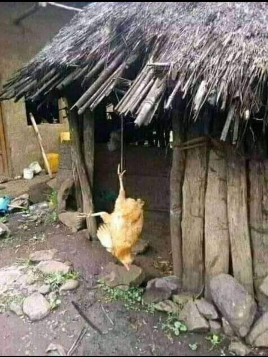 📌  

    እበላለሁ ብለህ ስትዶልት ከርመህ ተበላህ

የዋይ ዋይ  ተረኞችን ዘና ብለን እያየን ነው 🍿 

ቀሽም አማካሪ 700ኪሜ ለሴራ ካስኳተናቸው በኋላ የገዱ ድርጅት አሁናዊ ሁኔታ 👇 🤣