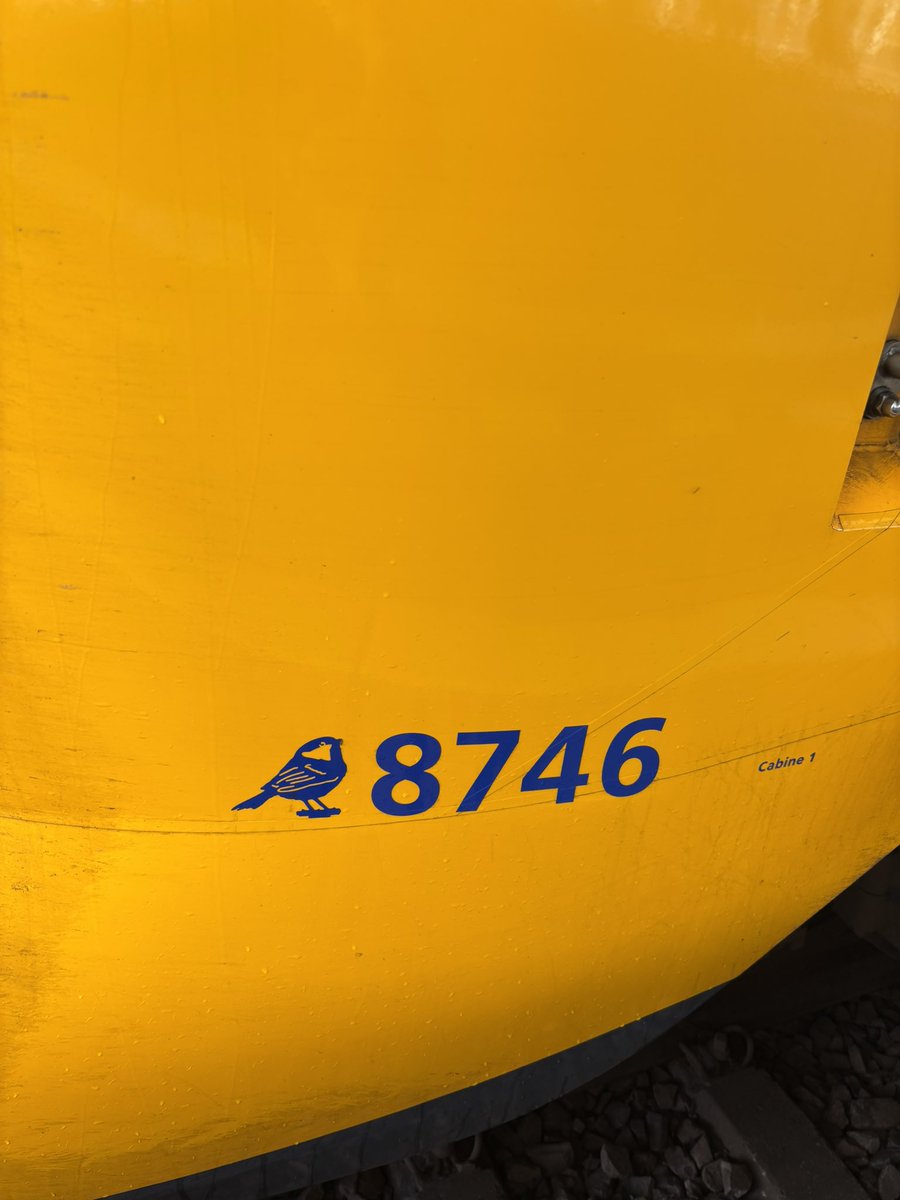 Mag ik toch zomaar op pad met de koolmees trein 😎 Op naar Den Haag!