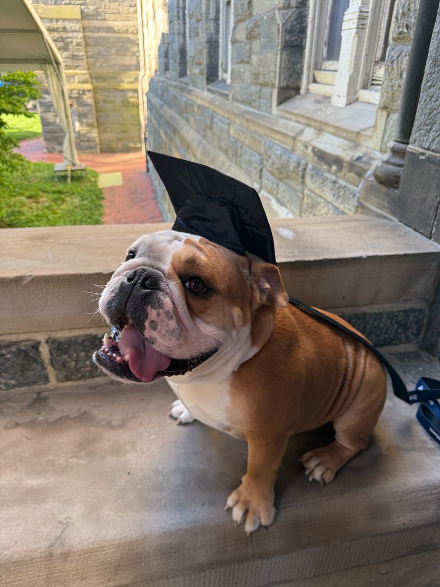 Jack wants to wish all of his graduating Hoyas a joyous commencement weekend! Let us know whether Jack should go into Barketing or Pawlitics after grad weekend ⤵️ 

#Hoyas2025