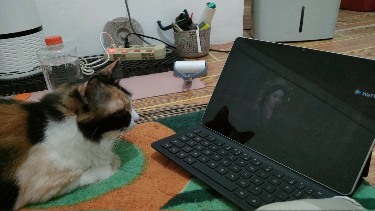 cisithecat's tweet image. nonton dracin sama si cantik