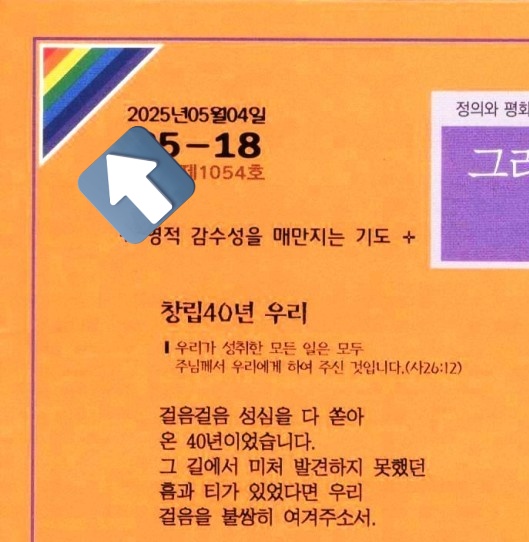 #떴다무지개
#국제성소수자혐오반대의날
#행동하는성소수자가세상을바꾼다

사랑하라🩷축복하라🌟환대하라🌈
빈들의 주보에는 무지개가 떠있습니다