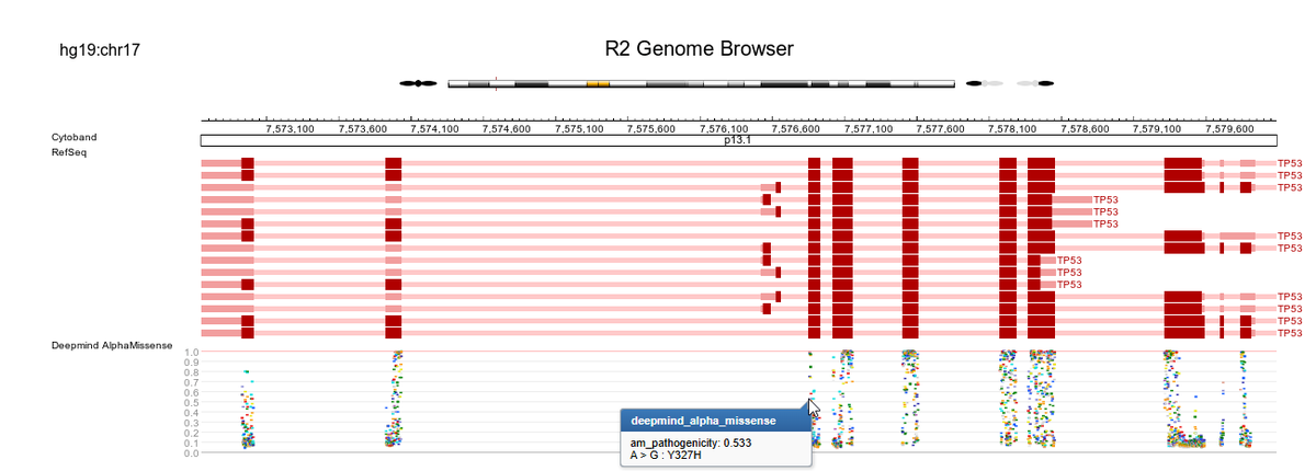 Browse the human genome with alpha missense (deep learning) from #google Deepmind in the embedded genomeBrowser of the R2platform ( r2.amc.nl ).

#DataAnalytics