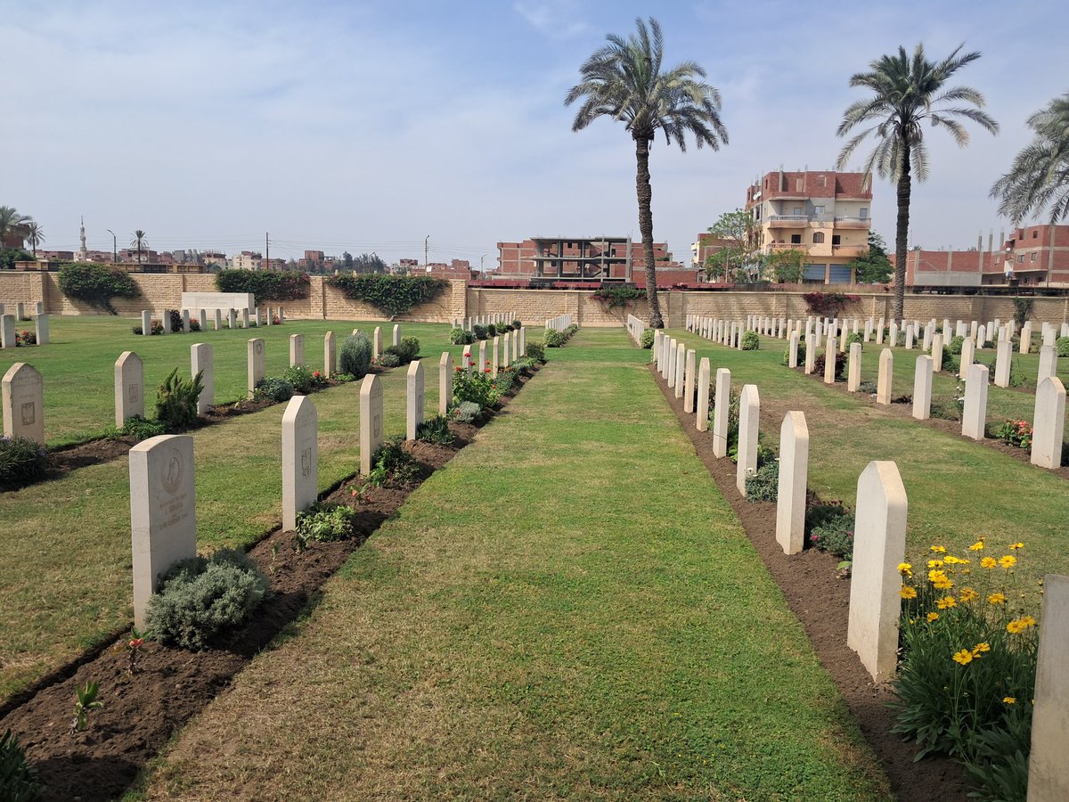 Today, a beautiful and wonderful work at the Tel El Kebir War Memorial Cemetery. <a href="/CWGC/">Commonwealth War Graves</a> <a href="/AAPAComms/">AAAComms</a> <a href="/Ahmed_AAalSayed/">Ahmed Abd El Aal Sayed</a> <a href="/baghdady_rashed/">Baghdady</a> <a href="/SayedNa14360117/">Sayed Nasser</a>