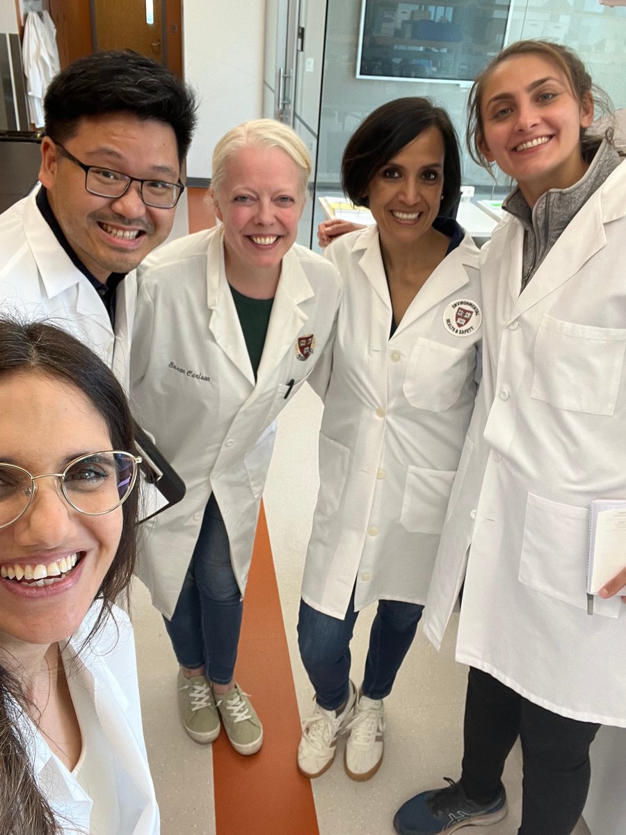 Shira Weingarten-Gabbay (@weingartenshira) on Twitter photo The Weingarten Lab is officially in business! ๐ Huge thanks to the incredible <a href="/HarvardMicro/">Harvard Micro</a> EHS team for their guidance and support as we got set up, and a special shoutout to Jessie, our amazing lab manager, for passing our first safety inspection with flying colors! ๐ฅ๐งช The Weingarten Lab is officially in business! ๐ Huge thanks to the incredible <a href="/HarvardMicro/">Harvard Micro</a> EHS team for their guidance and support as we got set up, and a special shoutout to Jessie, our amazing lab manager, for passing our first safety inspection with flying colors! ๐ฅ๐งช