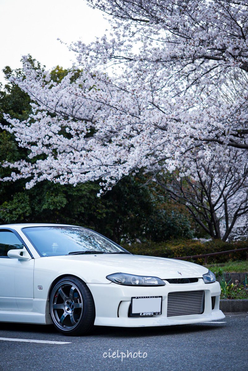 #S15の日