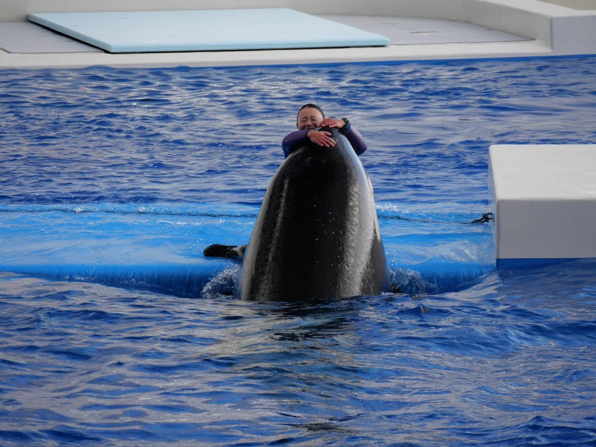 うーたん tweet media